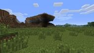 Minecraft's plains biome (Image via Minecraft network fandom)